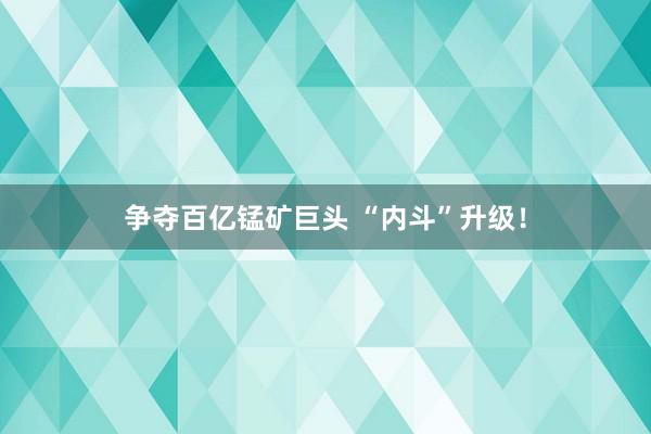 争夺百亿锰矿巨头 “内斗”升级！